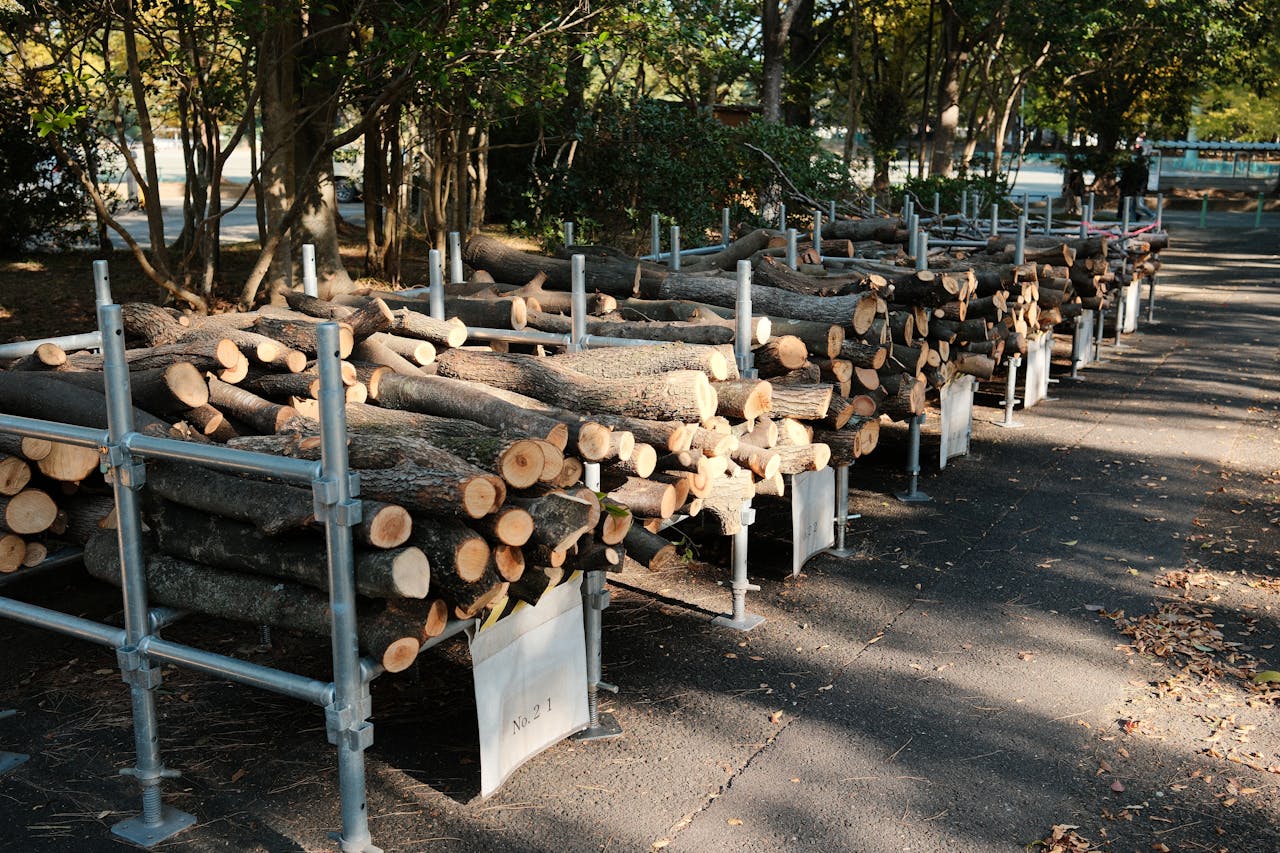 Organized stack of cut logs in a park in Toyohashi, Japan.